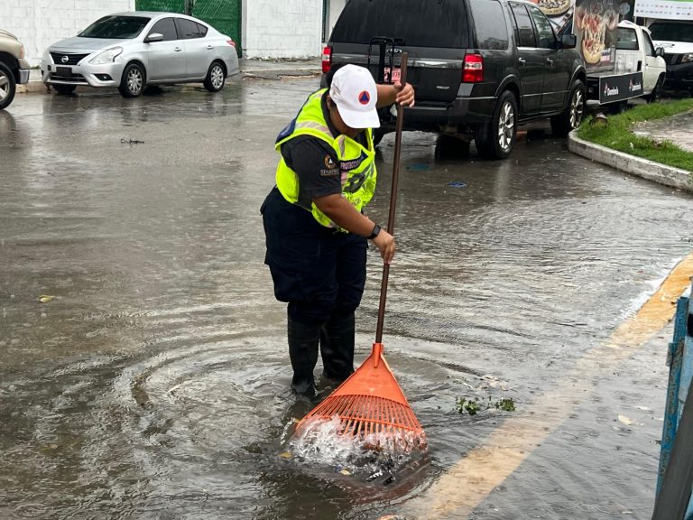Gobierno de Estefanía Mercado despliega brigadas de apoyo ante las intensas lluvias en Playa del Carmen 1 WhatsApp Image 2025 09 23 at 1.07.08 PM