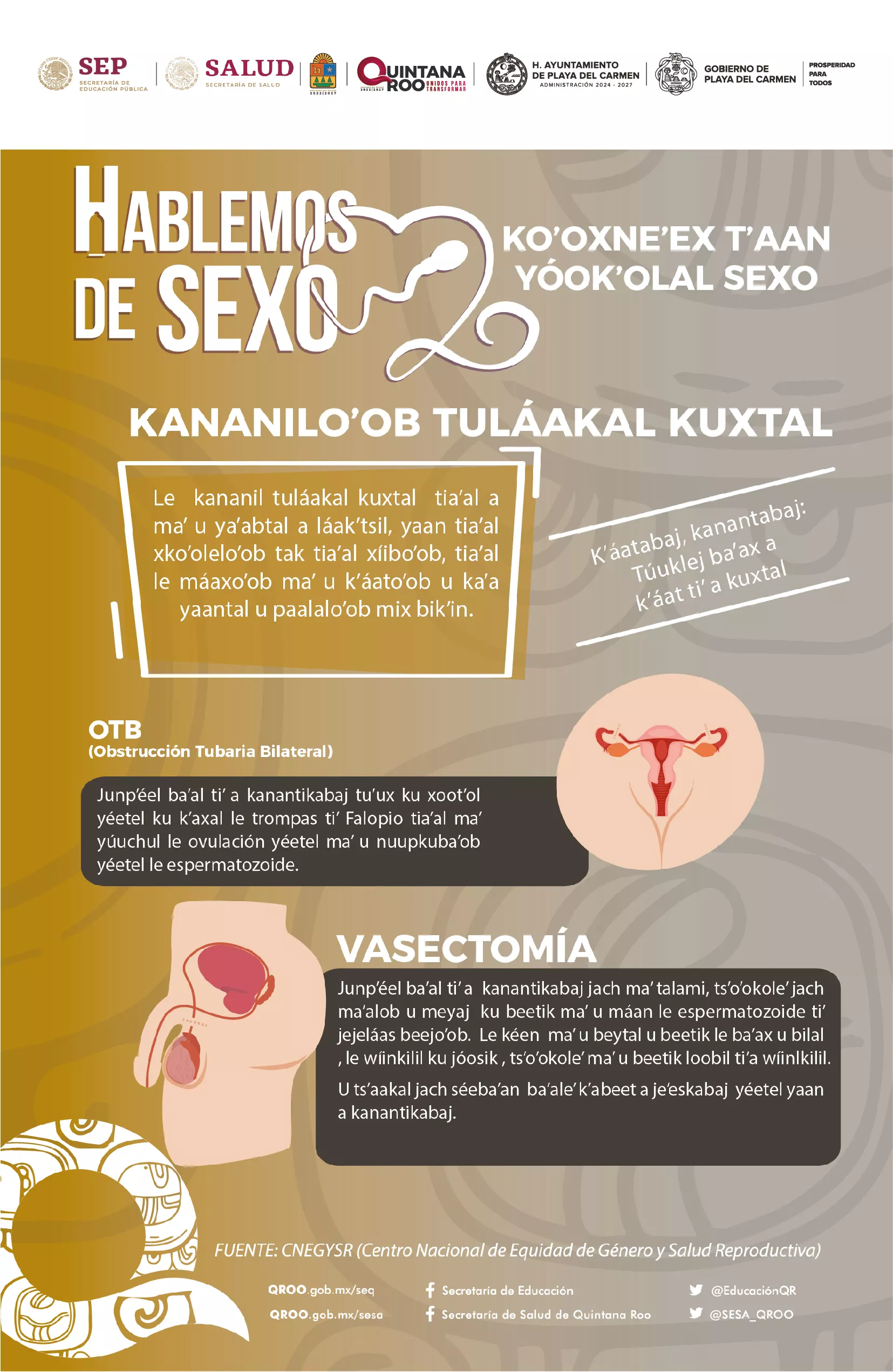 Hablemos de Sexo (maya) 2