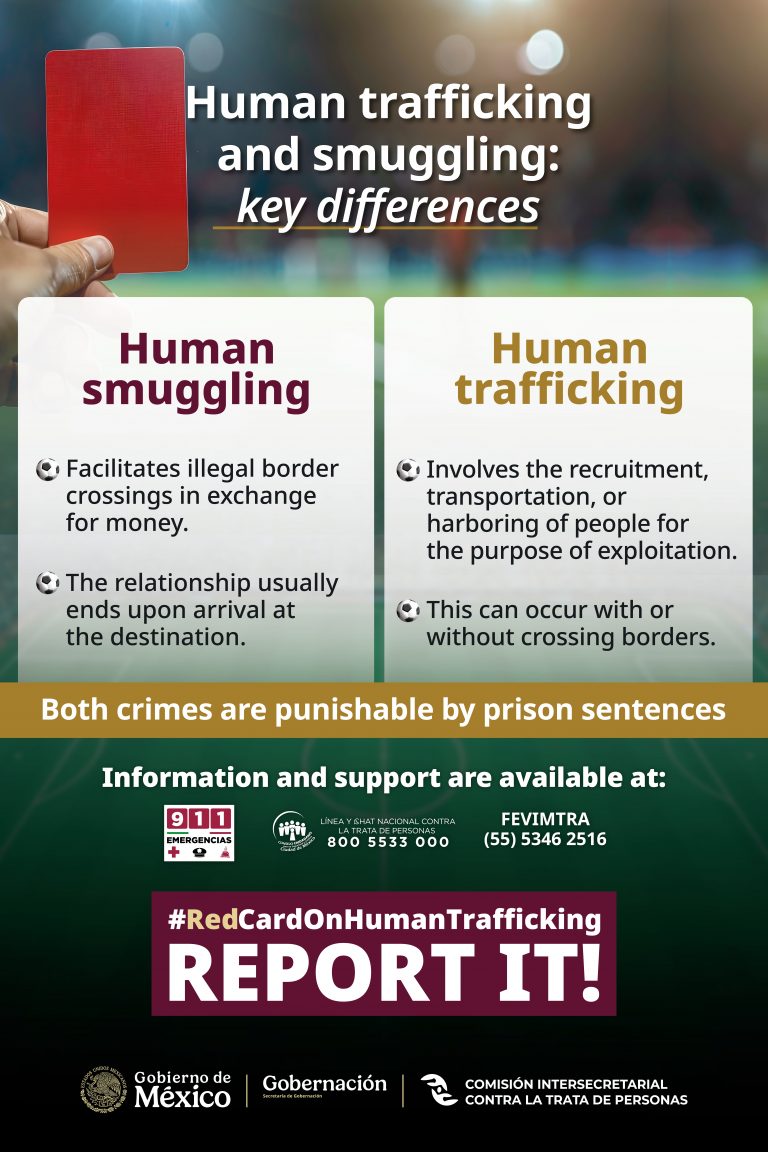 INFOGRAFÍA 1 INGLÉS