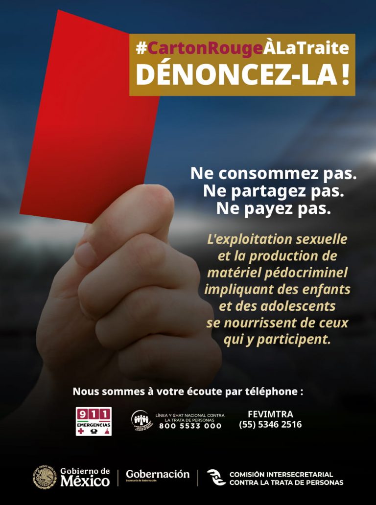 INFOGRAFÍA 2 FRANCÉS