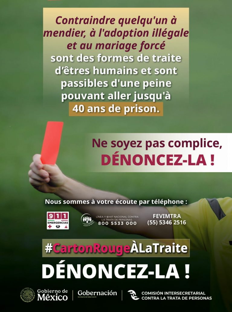 INFOGRAFÍA 5 FRANCÉS